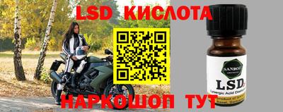 гидропоника Камышлов