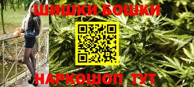 гидропоника Камышлов