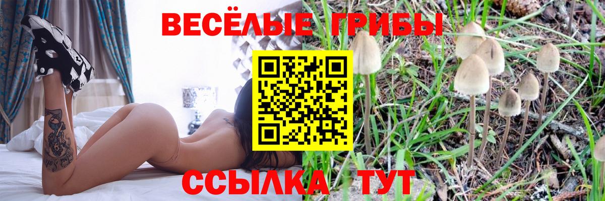 Краснознаменск  Псилоцибиновые грибы MAGIC MUSHROOMS  Вход с VPN 